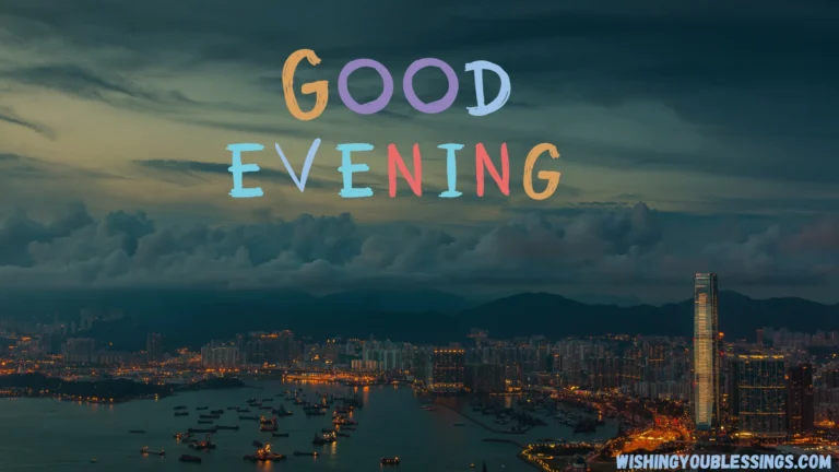 70+ Good Evening Images and Photos [2024]