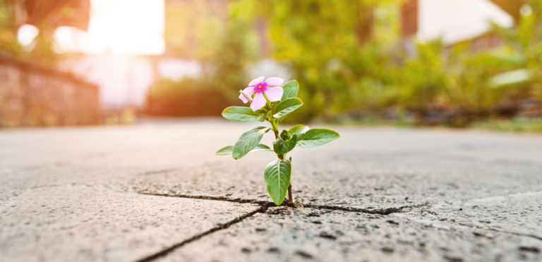 How to Alchemize Pain into Strength & Problems into Assets